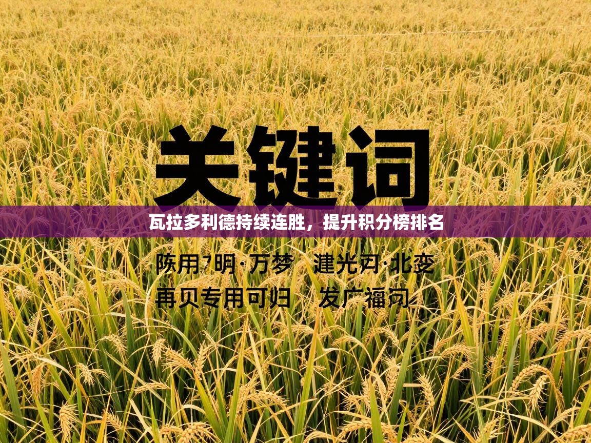 瓦拉多利德持续连胜，提升积分榜排名  第1张