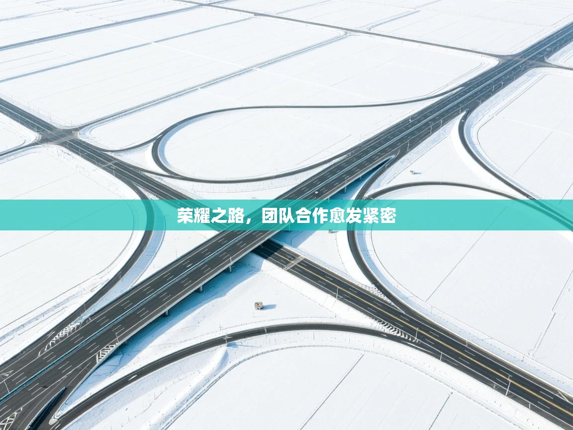 荣耀之路，团队合作愈发紧密  第1张