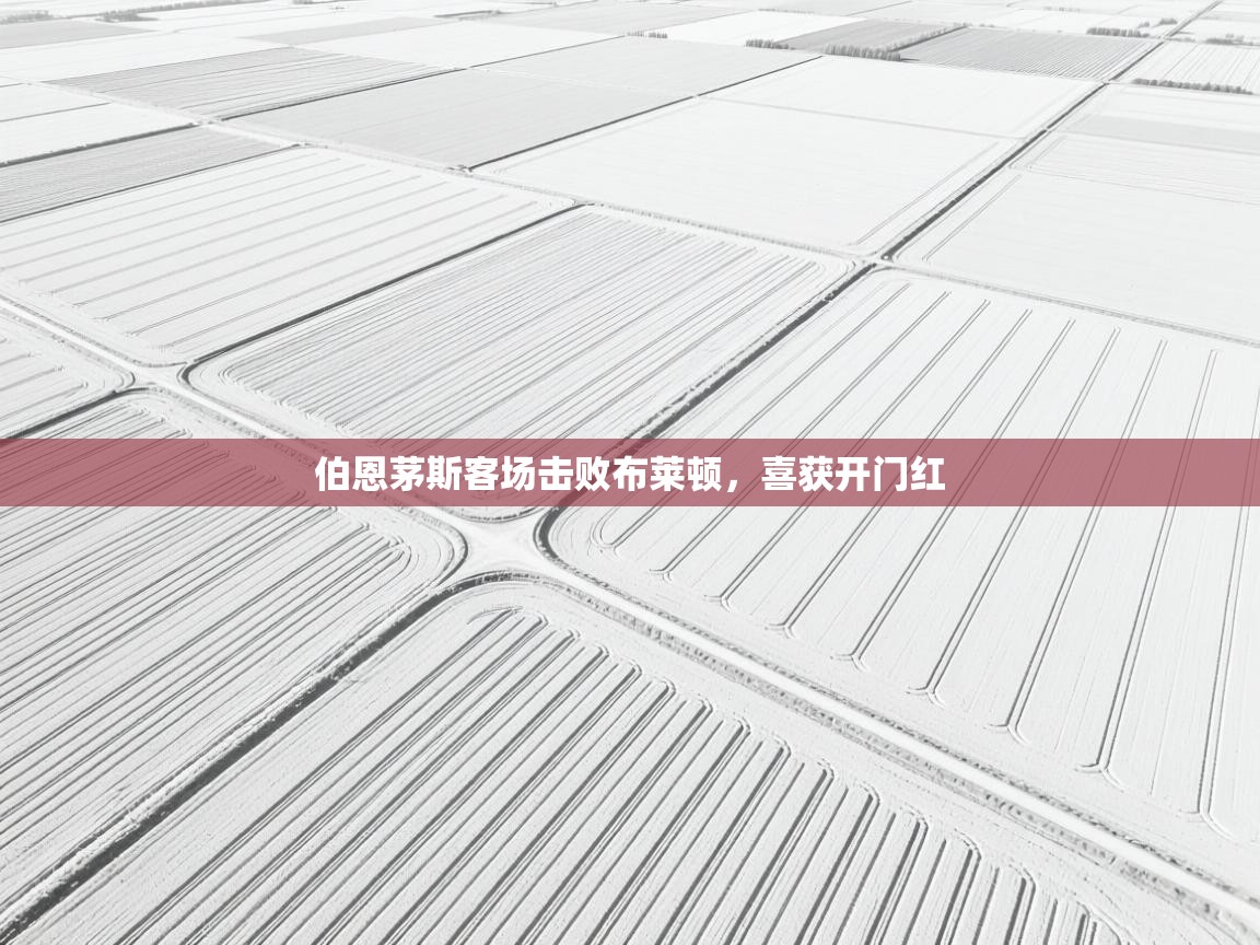 伯恩茅斯客场击败布莱顿,喜获开门红 第2张