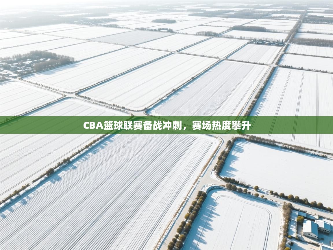 CBA篮球联赛备战冲刺,赛场热度攀升 第2张